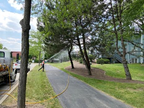 Image for Kramer Tree Specialists, Inc. with ID of: 5638257
