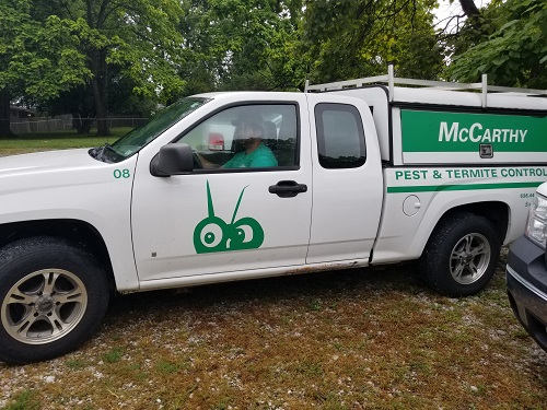 Image for McCarthy Pest & Termite Control with ID of: 5639033