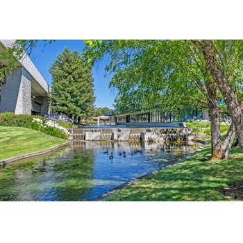Image for Swad Wealth Management with ID of: 5639542
