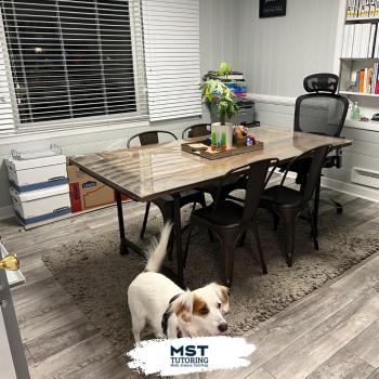 Image for MST Tutoring with ID of: 5641702