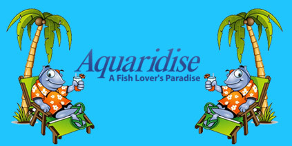 Image for Aquaridise with ID of: 645018