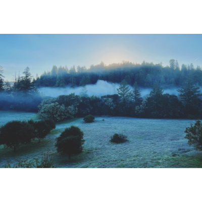 Image for The Land with ID of: 5645544