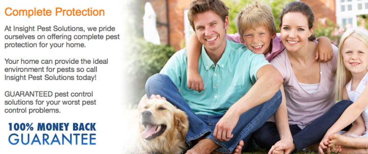 Image for Insight Pest Solutions with ID of: 645133