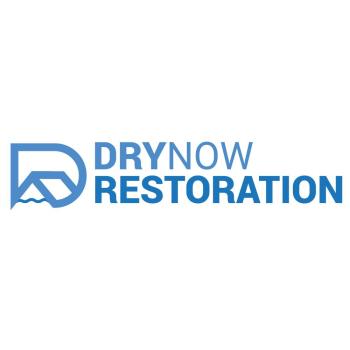 Image for DryNow Restoration with ID of: 6451377