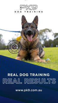 Image for Positive K9 Training with ID of: 5646687