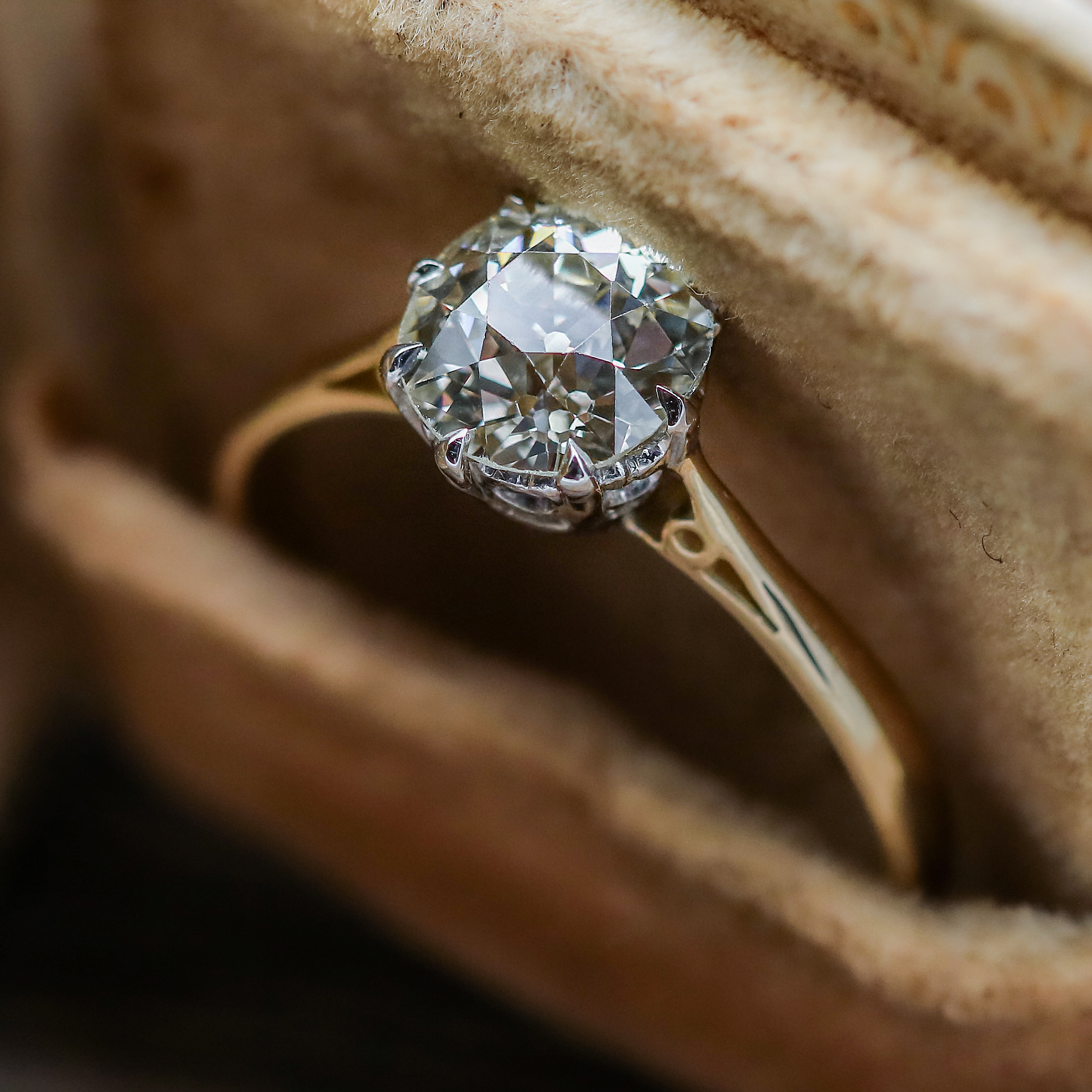 Image for Levy's Fine Jewelry with ID of: 5647032