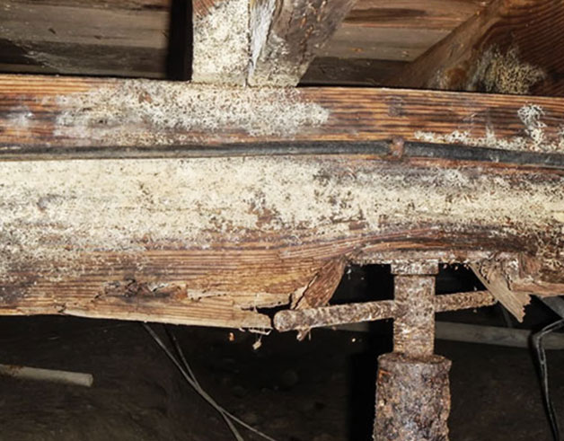 Image for Protecting Your Home’s Integrity: Structural Repair Services In Columbia, SC with ID of: 6453686