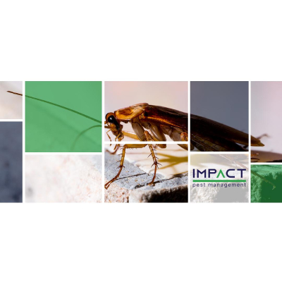 Image for Impact Pest Management with ID of: 5648053
