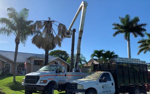 Image for Smart Choice Tree Services with ID of: 5648089