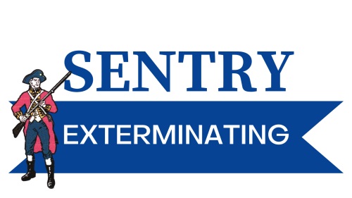Image for Sentry Exterminating Co with ID of: 5648936
