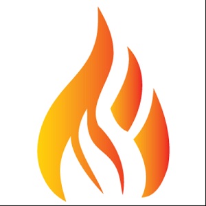 Image for Integrity Chimney Service with ID of: 5649432
