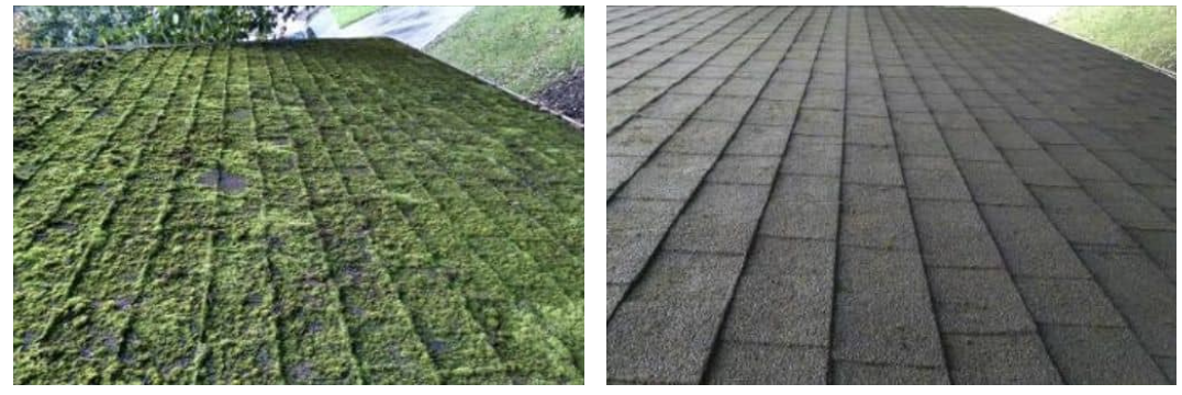 Image for NW Moss Removal with ID of: 5649493