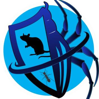 Image for True Pest Solutions with ID of: 6455266