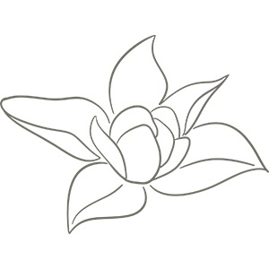 Image for The Magnolia KC Group with ID of: 6456175