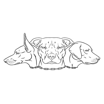 Image for Canines Alberta Professional Dog Training with ID of: 6456339