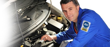 Image for Purrfect Auto Service with ID of: 645728