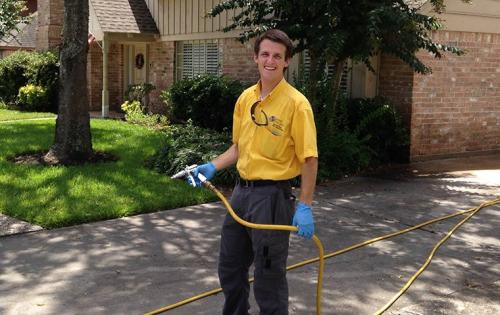 Image for Green Pest Guys Austin with ID of: 5651093