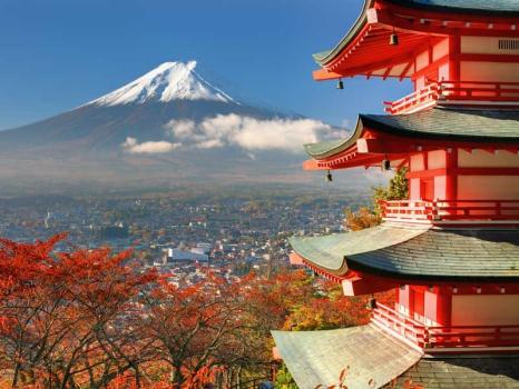 Image for Traveldream with ID of: 5651190