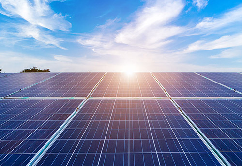 Image for Sun Choice USA with ID of: 5654331