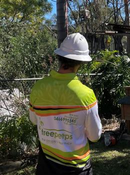Image for Treepeeps Pty Ltd with ID of: 5656264