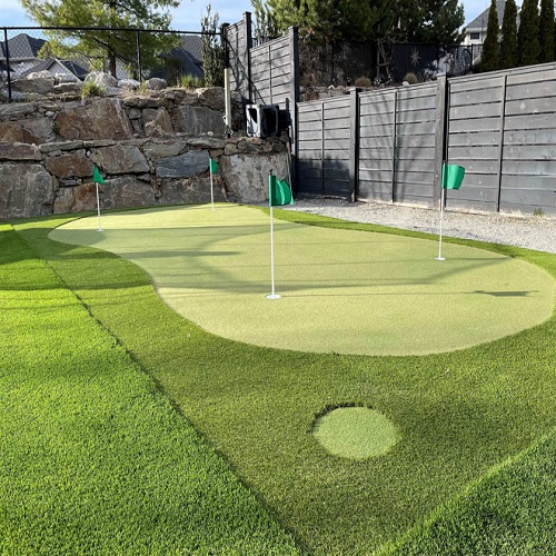 Image for Okanagan Perfect Turf with ID of: 5657489