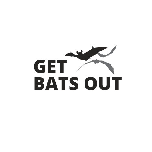 Image for Get Bats Out Allen with ID of: 6462617