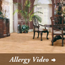 Image for Denver Carpet Brokers with ID of: 646263