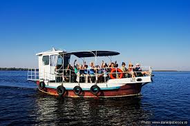 Image for Seastreak with ID of: 646548