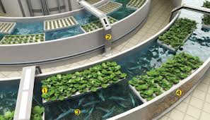 Image for Hydroponics Depot with ID of: 646716