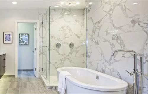 Image for The Original Frameless Shower Doors with ID of: 5667482