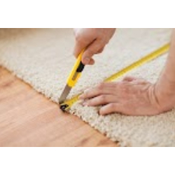 Image for Bears Floor Coverings with ID of: 5671064