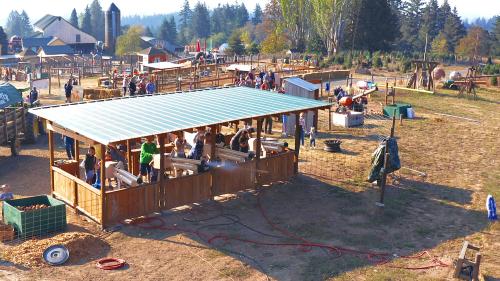 Image for Plumper Pumpkin Patch & Tree Farm, LLC with ID of: 5673274