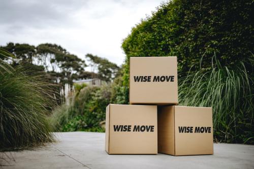 Image for Wisemove SG with ID of: 5673737