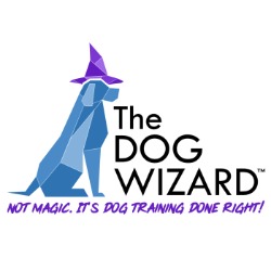Image for The Dog Wizard Twin Cities with ID of: 6474318