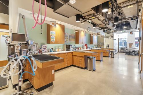 Image for Sploot Veterinary Care - Platt Park with ID of: 5678896