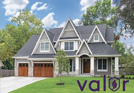 Image for Valor Pest Solutions with ID of: 5679507