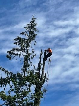 Image for White River Tree Service with ID of: 5680303