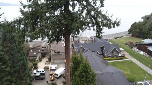 Image for White River Tree Service with ID of: 5680320