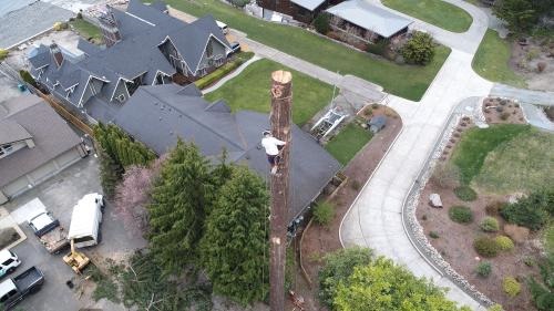 Image for White River Tree Service with ID of: 5680334