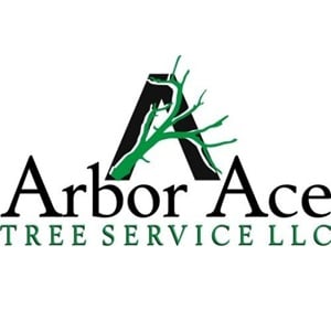 Image for Arbor Ace Tree Service, LLC with ID of: 6476401