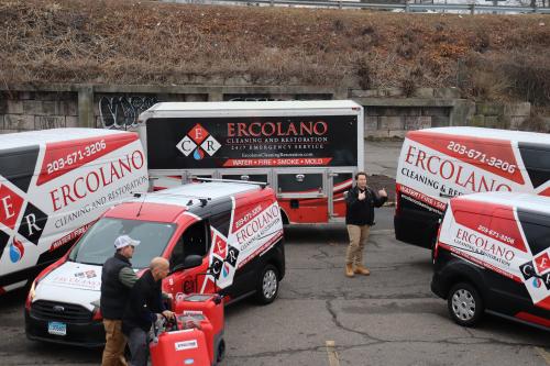 Image for Ercolano Cleaning & Restoration with ID of: 5685192