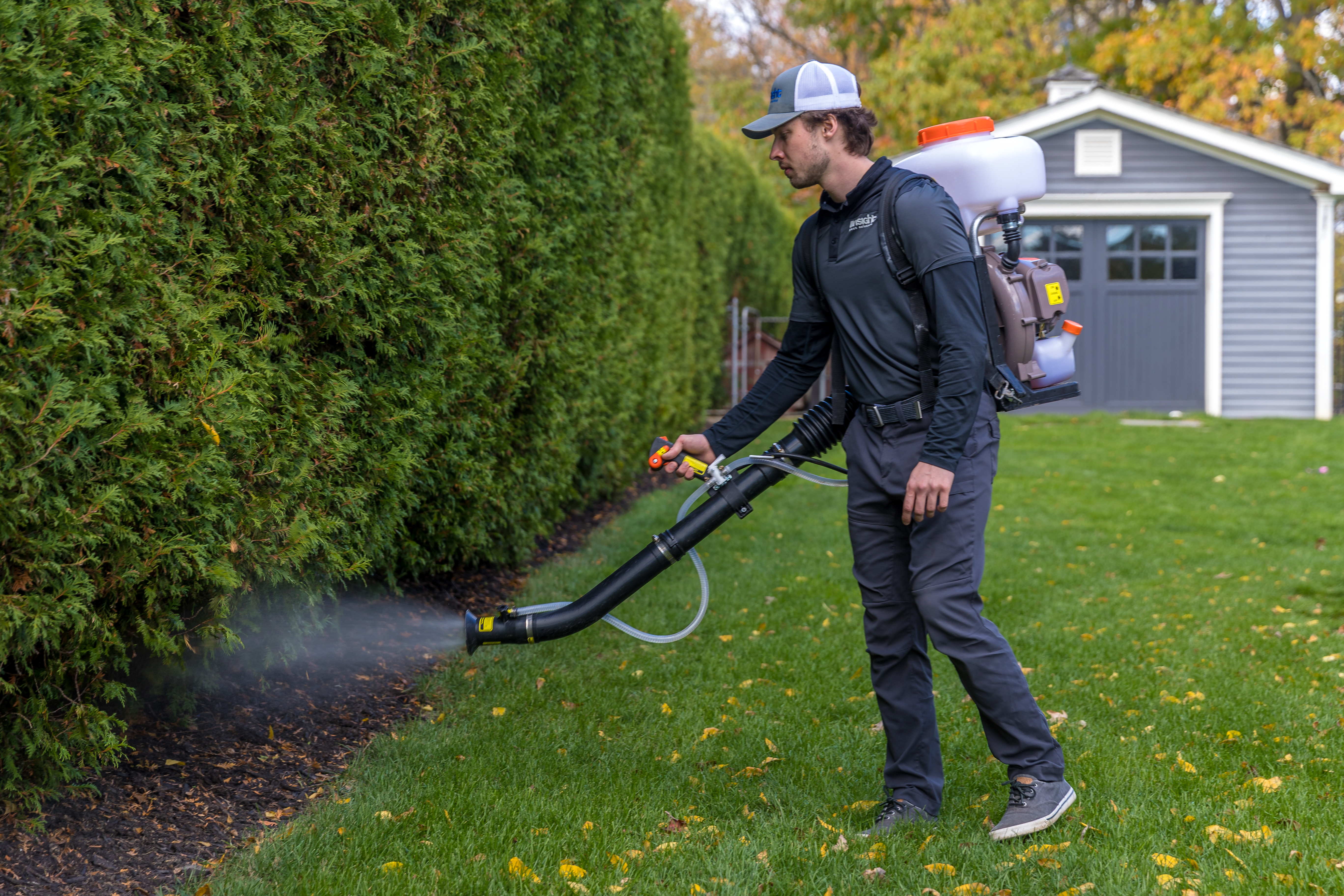Image for Insight Pest Solutions with ID of: 5685565