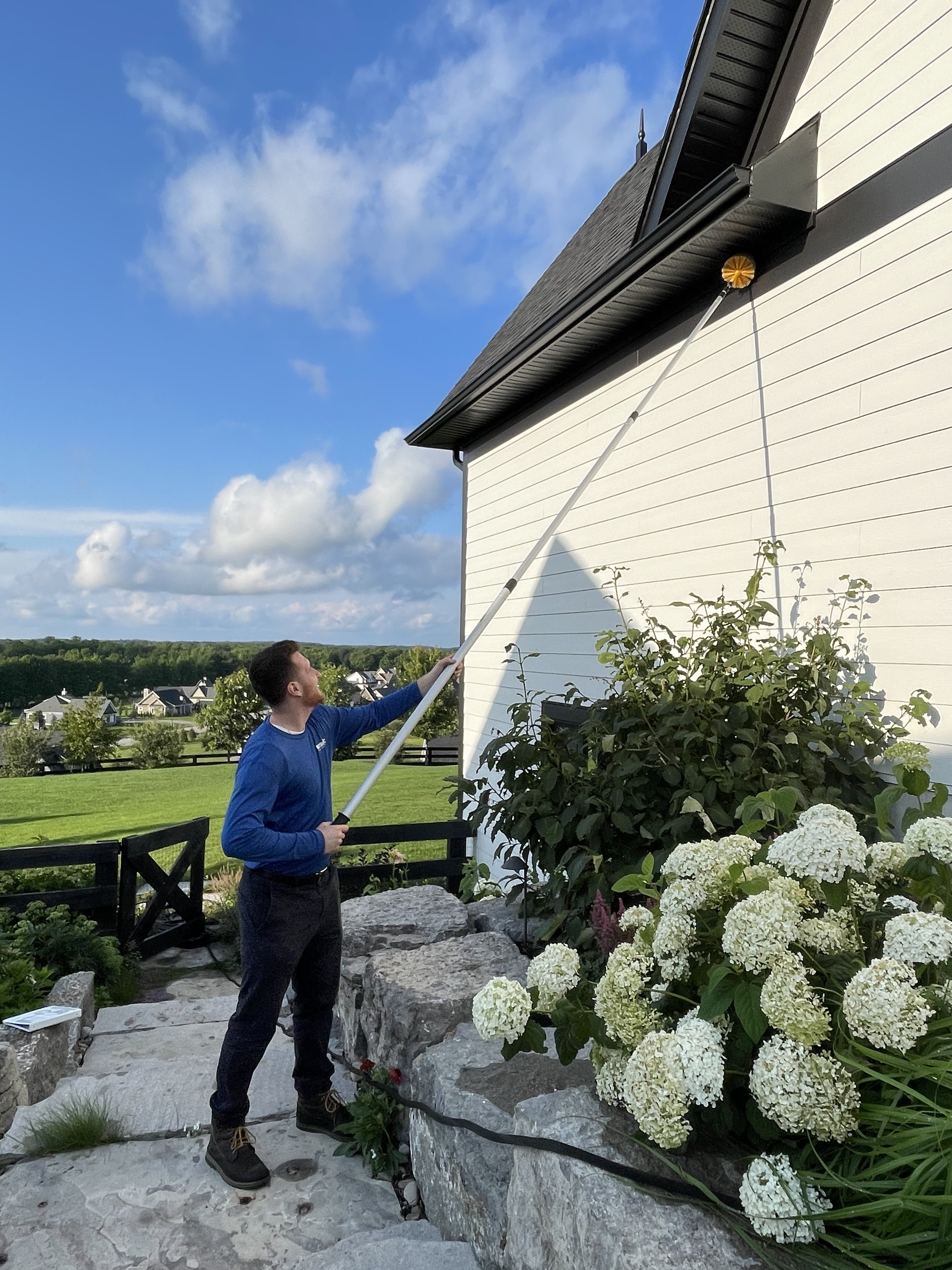 Image for Insight Pest Solutions with ID of: 5685567