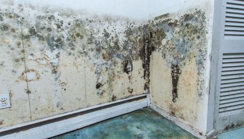 Image for Orange City Water Damage Solutions with ID of: 5685608