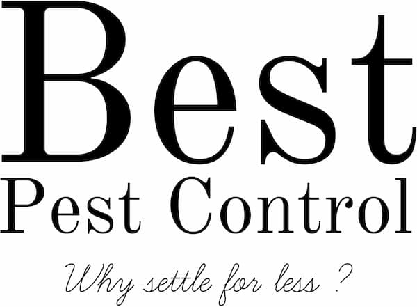 Image for Best Pest Control with ID of: 6478296