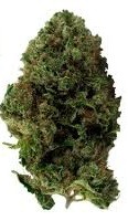 Image for Arizona Vapor Room with ID of: 647851