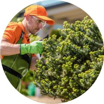Image for Parker Tree Trimming with ID of: 5687504