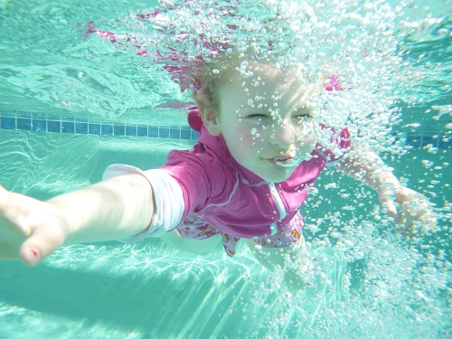 Image for Swim With Gale with ID of: 5690825
