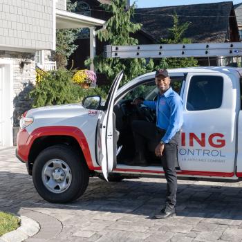 Image for Viking Pest Control with ID of: 5691027