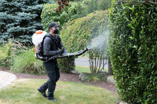 Image for Viking Pest Control with ID of: 5691028